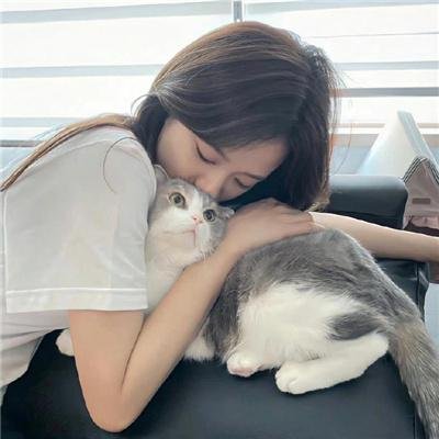 情杀疑云