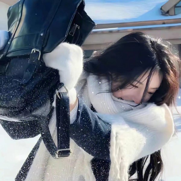 我家有个赵大咪